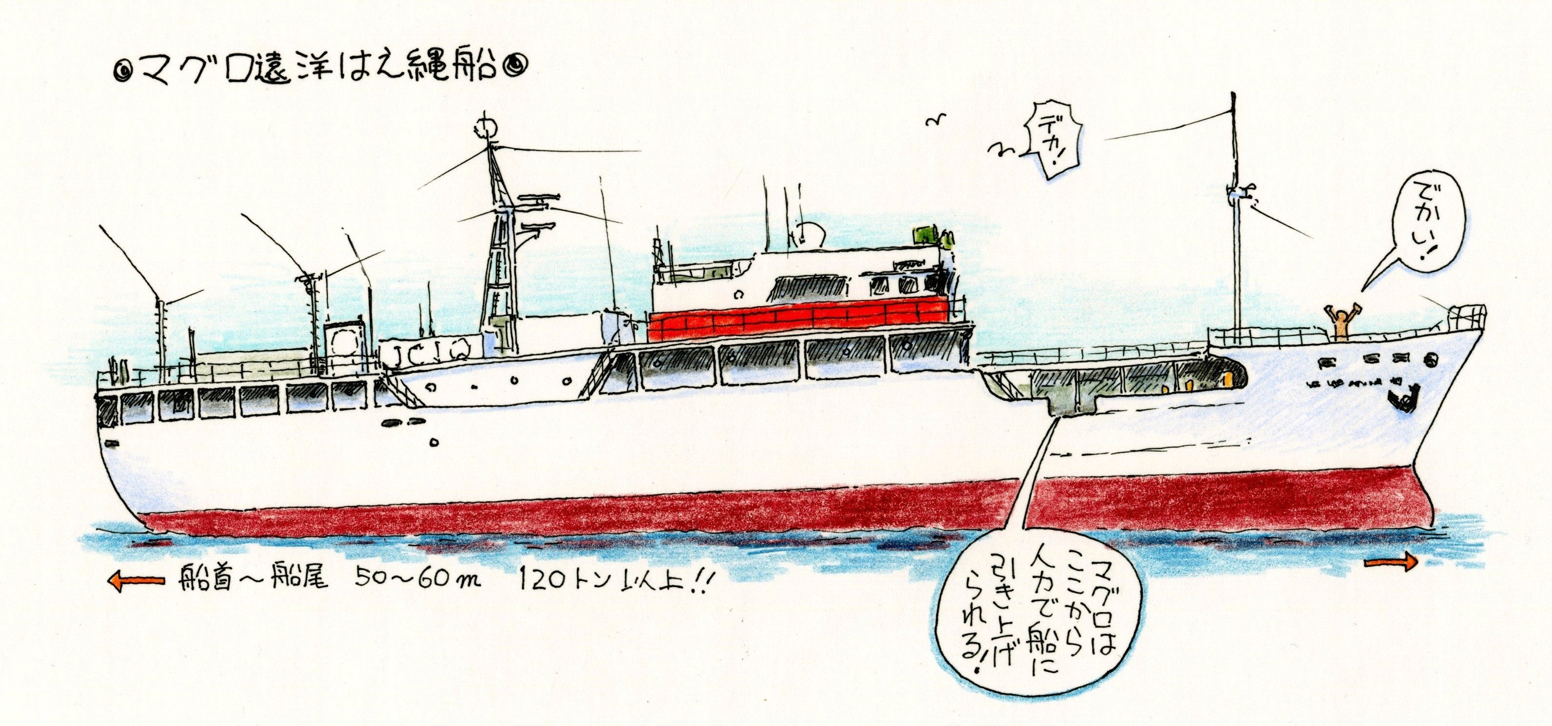 マグロ遠洋延縄船のイラスト