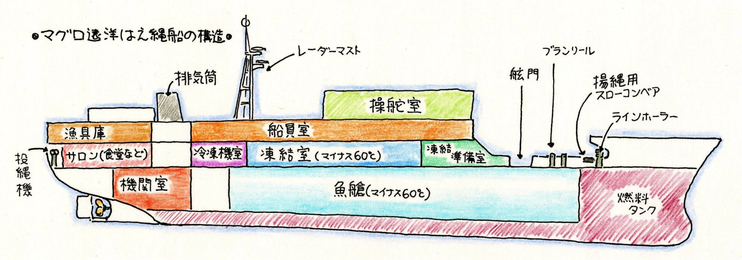 マグロ遠洋延縄船の構造のイラスト