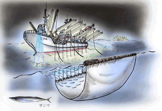 棒受網漁法のイラスト