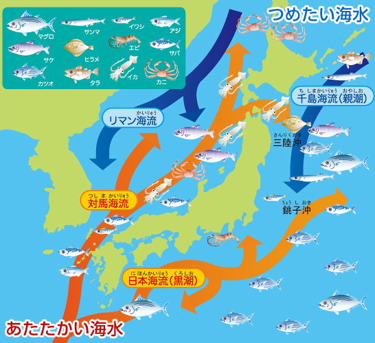 日本周辺の海流と漁場