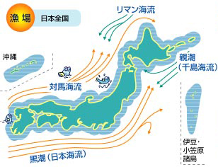 沿岸（えんがん）、沖合（おきあい）、遠洋（えんよう）の3つの漁業（ぎょぎょう）の違（ちが）いは何かな？